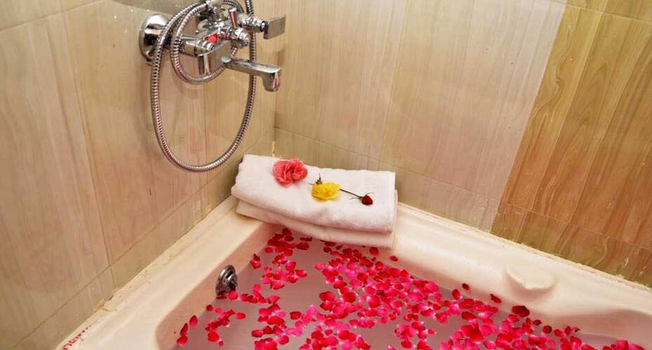 Hotel Grand, Ranthambore 5